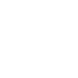 ce logo Sonora