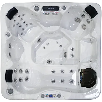 Avalon EC-849L hot tubs for sale in Sonora